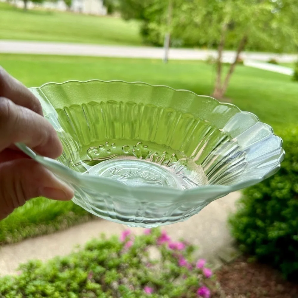 SET/6, NOVACRISA MEXICO, WILD ROSE FLORAL BLOSSOM, CLEAR BOWL WITH FROSTED RIM
